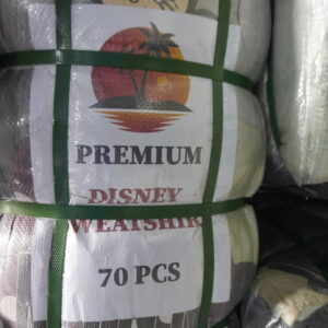 Premium Disney Sweatshirt